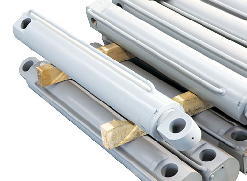 红足1世新2登录